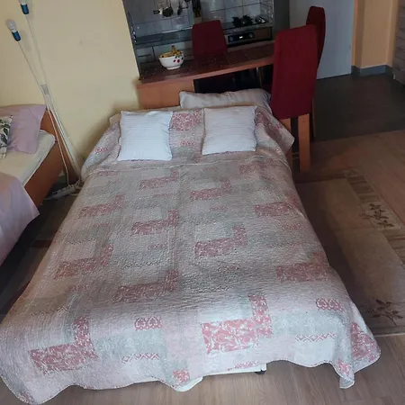Apartman Vida *